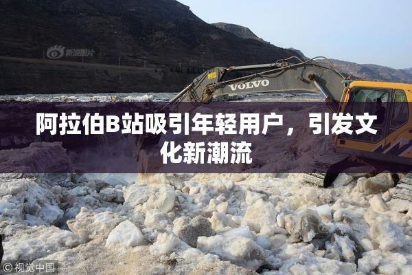 阿拉伯B站吸引年轻用户，引发文化新潮流