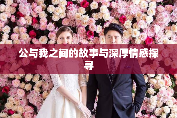 公与我之间的故事与深厚情感探寻