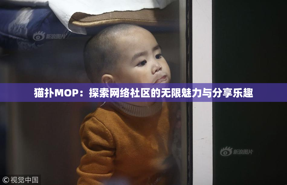猫扑MOP：探索网络社区的无限魅力与分享乐趣