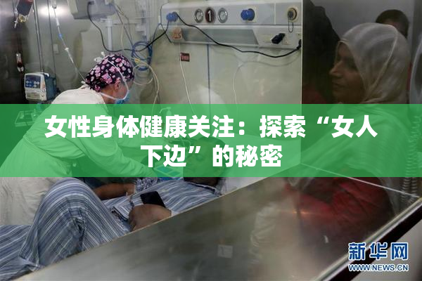 女性身体健康关注：探索“女人下边”的秘密