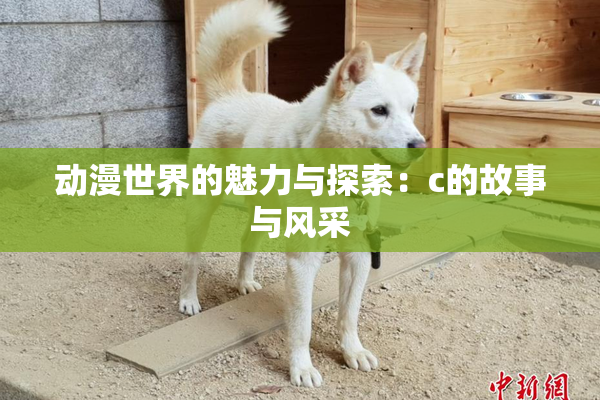 动漫世界的魅力与探索：c的故事与风采