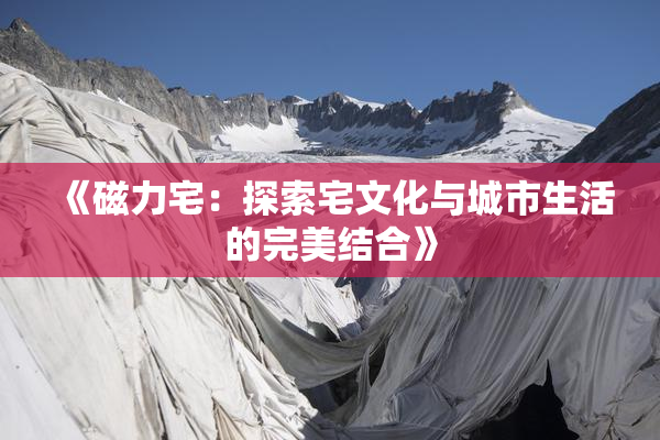 《磁力宅：探索宅文化与城市生活的完美结合》