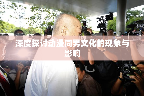深度探讨动漫同男文化的现象与影响