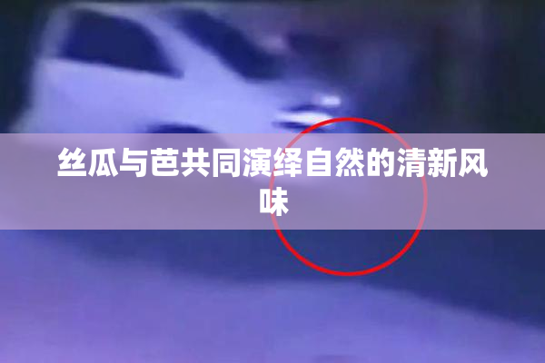 丝瓜与芭共同演绎自然的清新风味