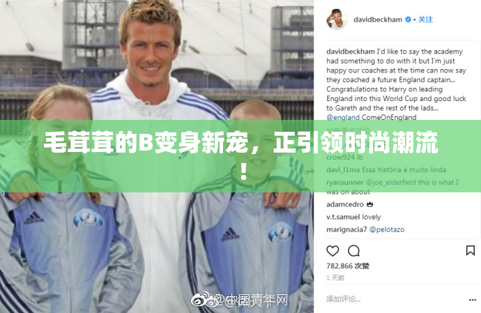 毛茸茸的B变身新宠，正引领时尚潮流！