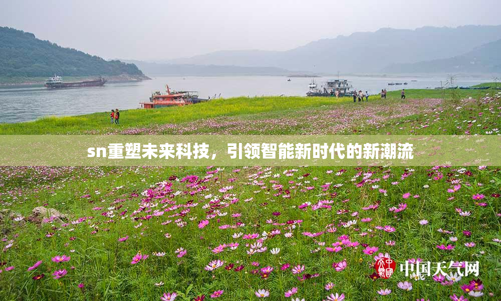 sn重塑未来科技，引领智能新时代的新潮流