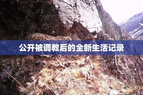 公开被调教后的全新生活记录