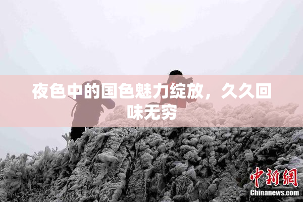 夜色中的国色魅力绽放，久久回味无穷
