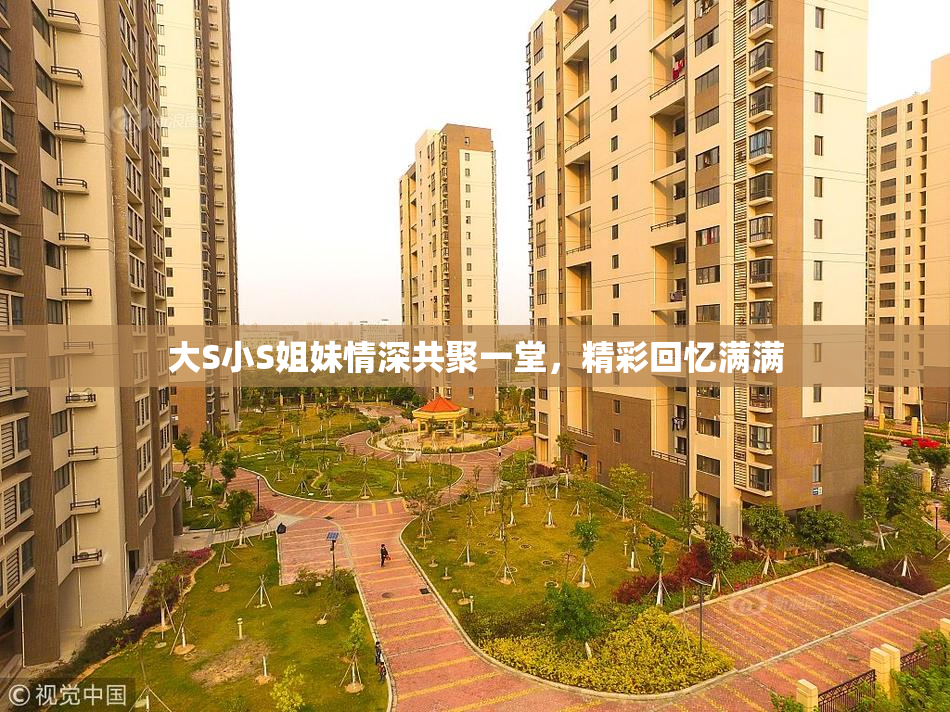 大S小S姐妹情深共聚一堂，精彩回忆满满