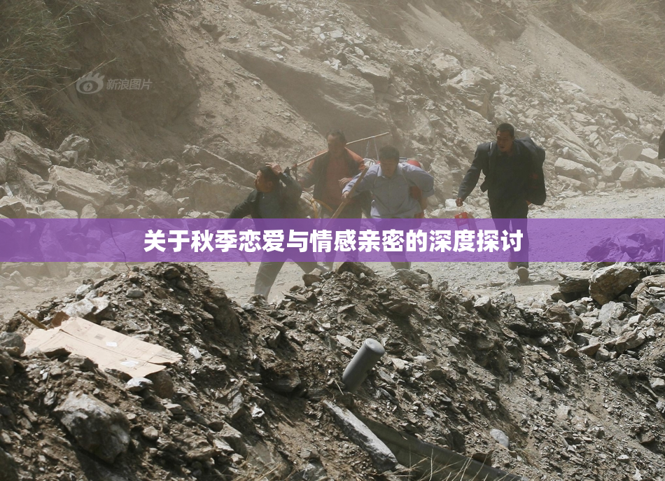 关于秋季恋爱与情感亲密的深度探讨