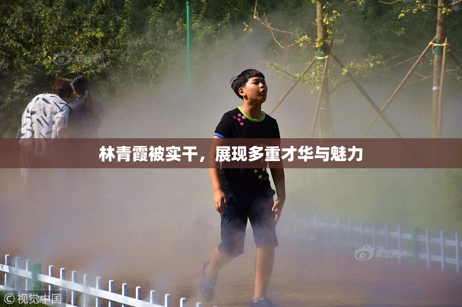 林青霞被实干，展现多重才华与魅力