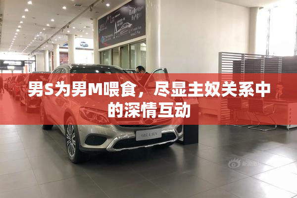 男S为男M喂食，尽显主奴关系中的深情互动