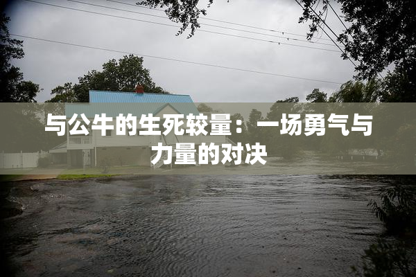 与公牛的生死较量：一场勇气与力量的对决