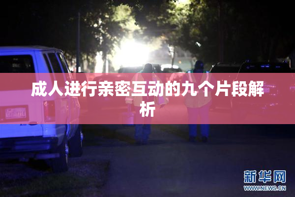 成人进行亲密互动的九个片段解析