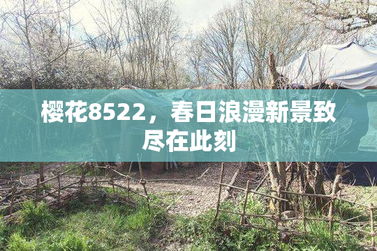 樱花8522，春日浪漫新景致尽在此刻