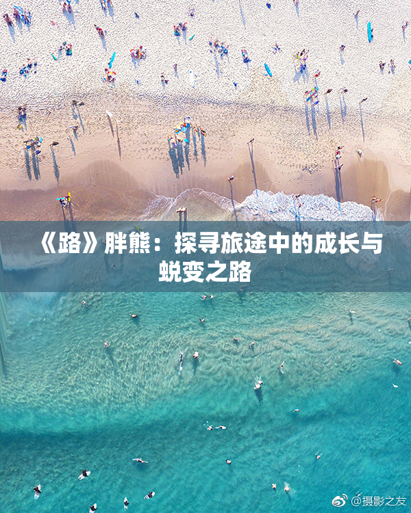《路》胖熊：探寻旅途中的成长与蜕变之路