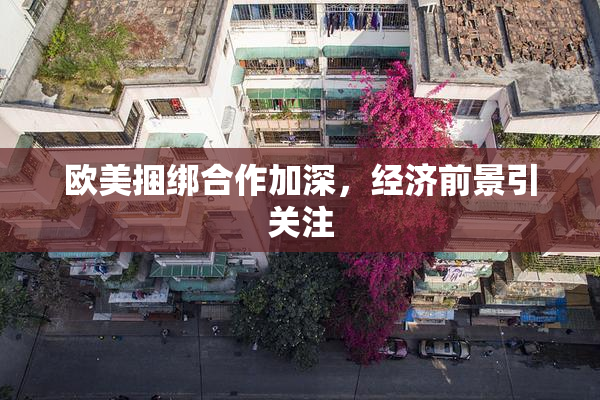 欧美捆绑合作加深，经济前景引关注