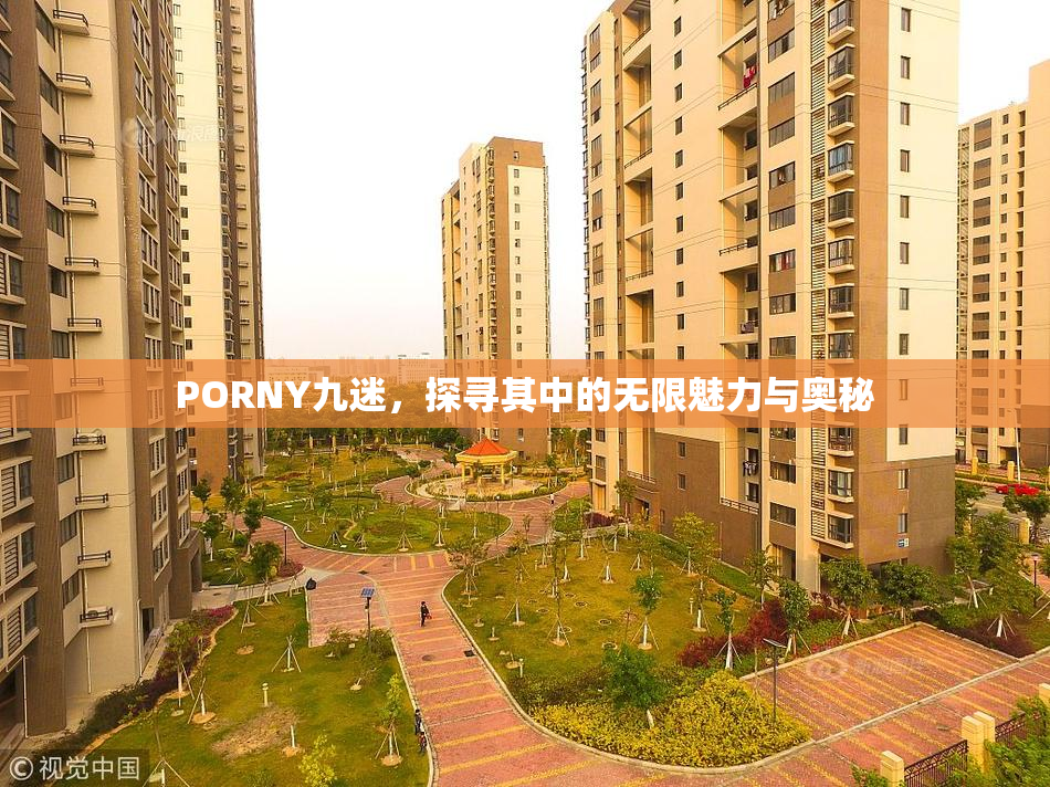 PORNY九迷，探寻其中的无限魅力与奥秘