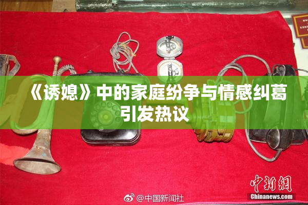 《诱媳》中的家庭纷争与情感纠葛引发热议