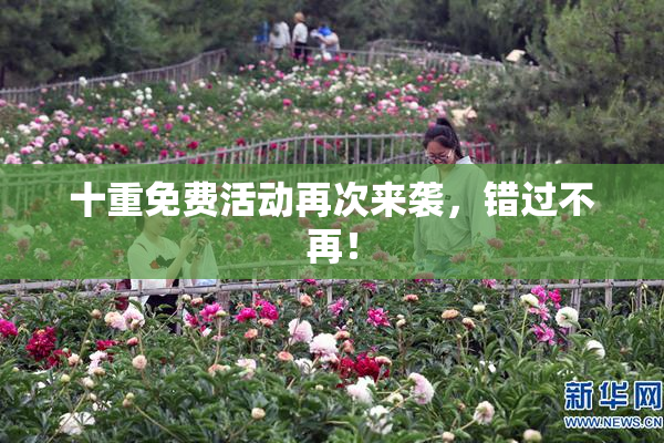 十重免费活动再次来袭，错过不再！