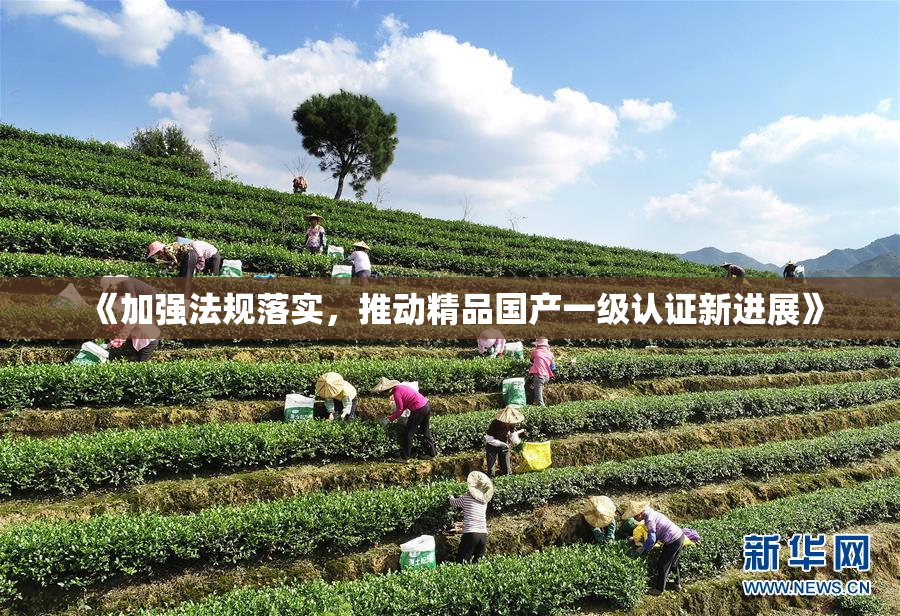 《加强法规落实，推动精品国产一级认证新进展》