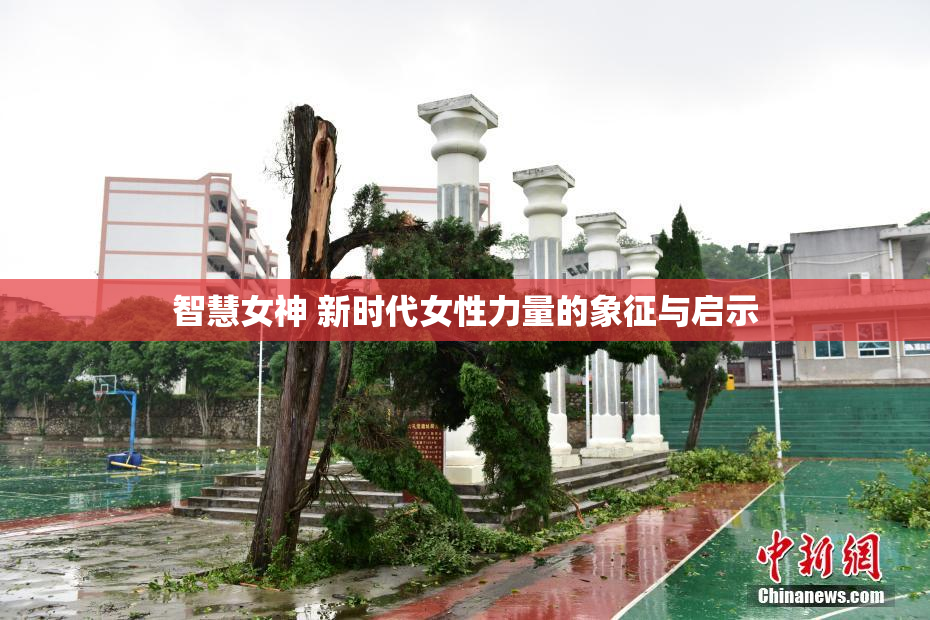 智慧女神 新时代女性力量的象征与启示
