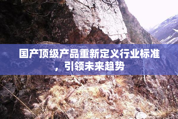 国产顶级产品重新定义行业标准，引领未来趋势