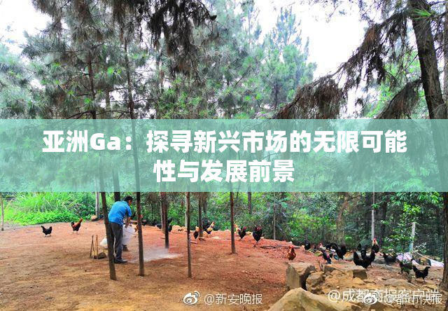 亚洲Ga：探寻新兴市场的无限可能性与发展前景