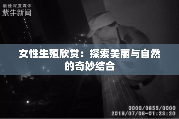 女性生殖欣赏：探索美丽与自然的奇妙结合