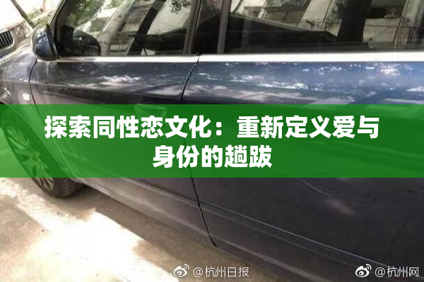 探索同性恋文化：重新定义爱与身份的趟跋