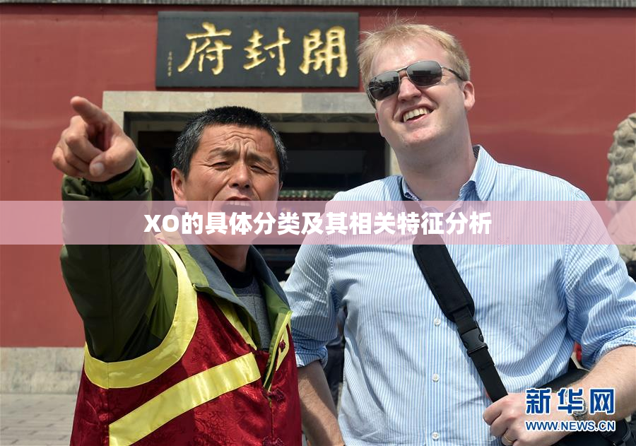 XO的具体分类及其相关特征分析
