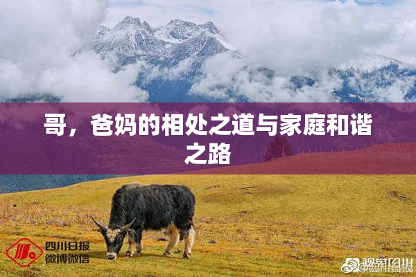 哥，爸妈的相处之道与家庭和谐之路