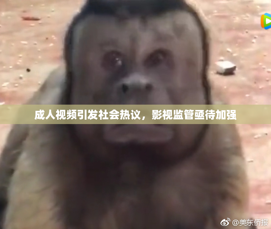 成人视频引发社会热议，影视监管亟待加强