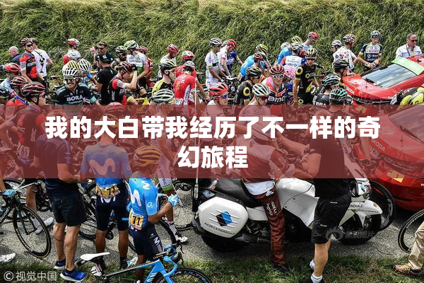 我的大白带我经历了不一样的奇幻旅程