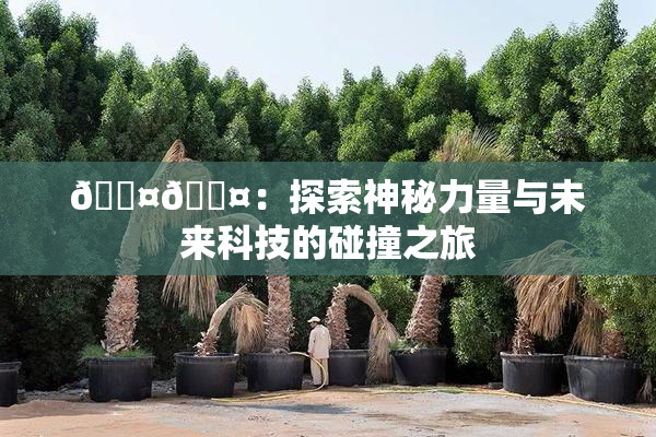 🐤🐤：探索神秘力量与未来科技的碰撞之旅