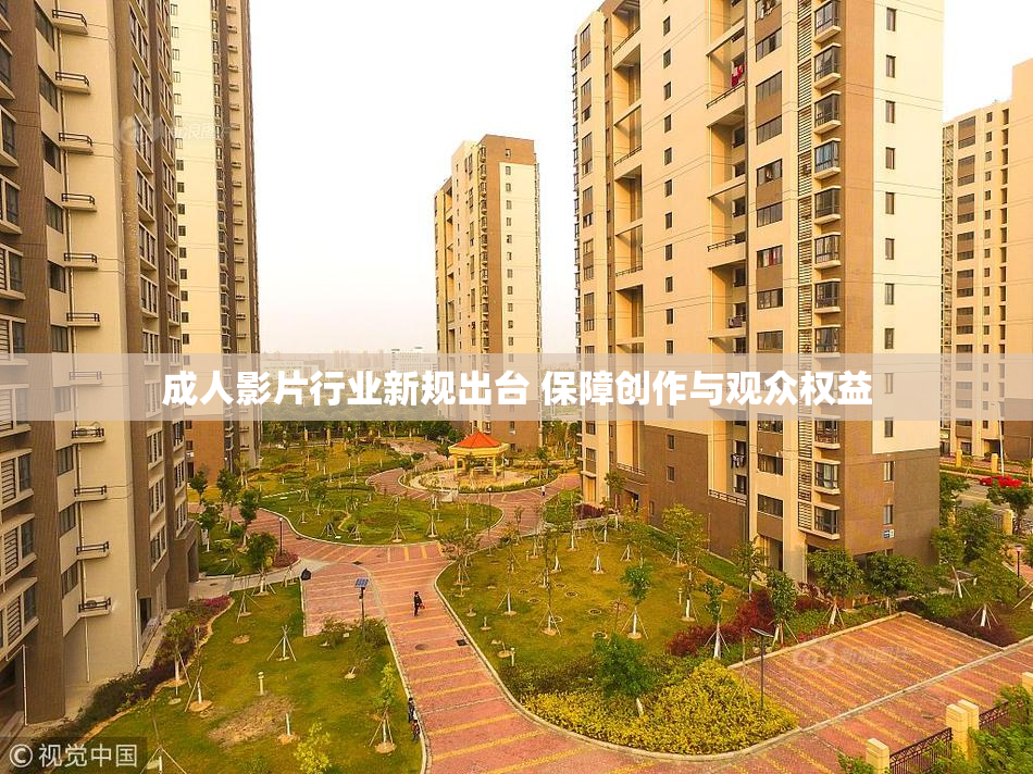 成人影片行业新规出台 保障创作与观众权益