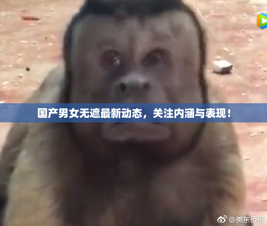 国产男女无遮最新动态，关注内涵与表现！