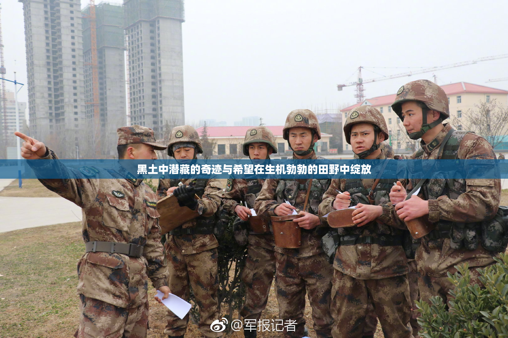 黑土中潜藏的奇迹与希望在生机勃勃的田野中绽放