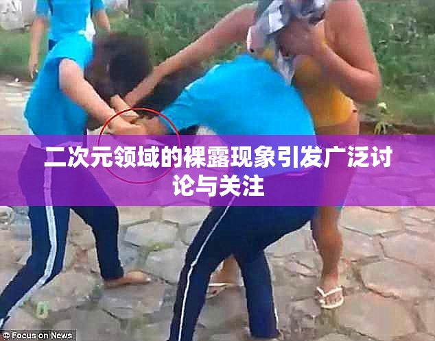 二次元领域的裸露现象引发广泛讨论与关注