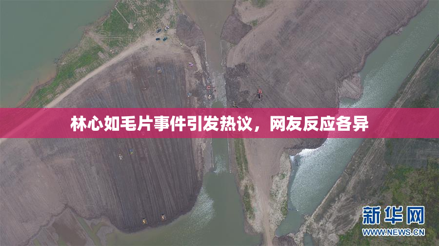 林心如毛片事件引发热议，网友反应各异