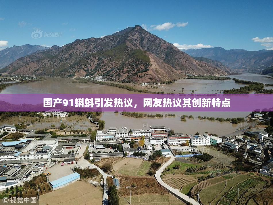 国产91蝌蚪引发热议，网友热议其创新特点
