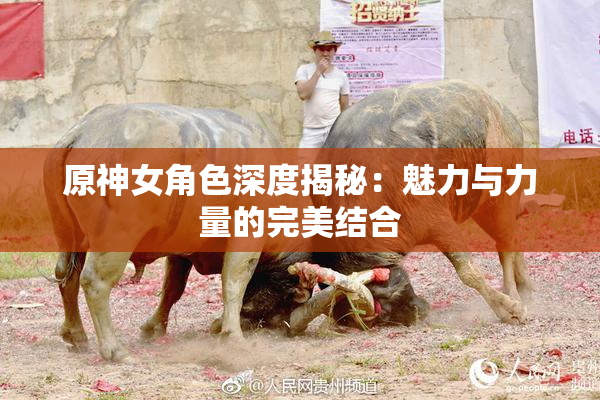 原神女角色深度揭秘：魅力与力量的完美结合
