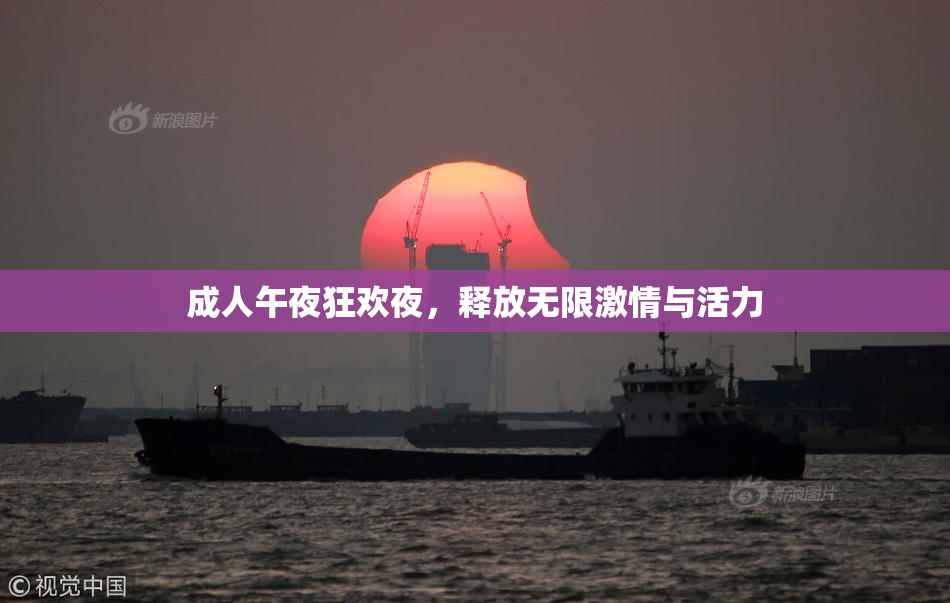 成人午夜狂欢夜，释放无限激情与活力