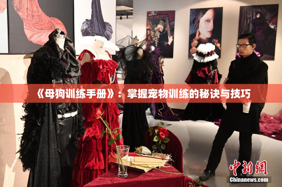 《母狗训练手册》：掌握宠物训练的秘诀与技巧