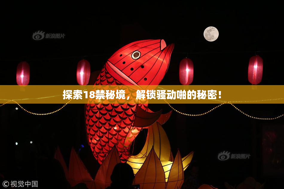 探索18禁秘境，解锁骚动啪的秘密！