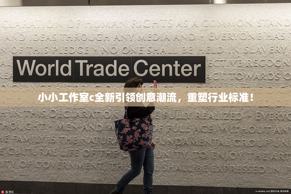小小工作室c全新引领创意潮流，重塑行业标准！