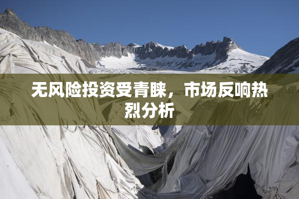 无风险投资受青睐，市场反响热烈分析