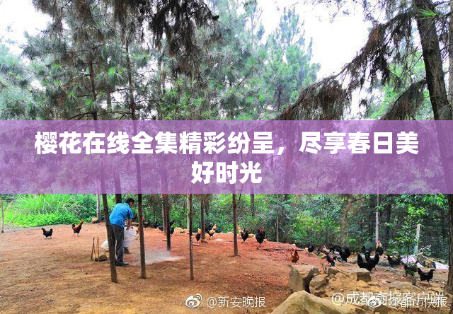 樱花在线全集精彩纷呈，尽享春日美好时光