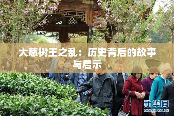 大慈树王之乱：历史背后的故事与启示