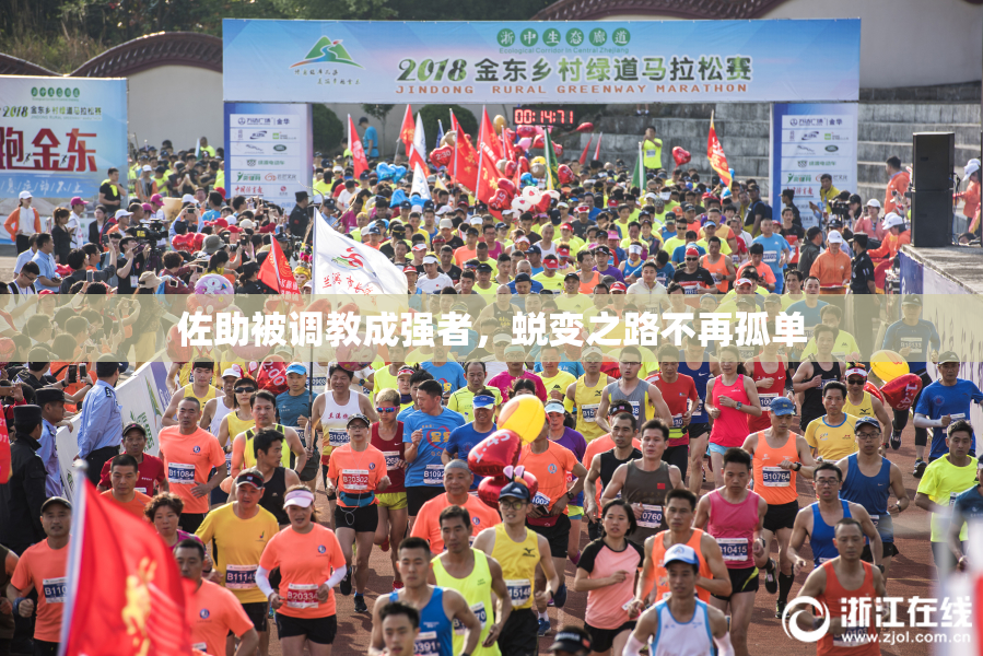 佐助被调教成强者，蜕变之路不再孤单